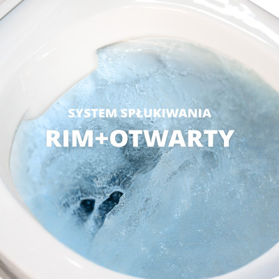 HOMELIKE Zestaw wc 4 w 1 Sofi slim + przycisk złoty okrągły (101.4.5)