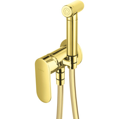 Deante Alpinia bateria bidetowa podtynkowa ze słuchawką typu bidetta złoty połysk BGAZ34M