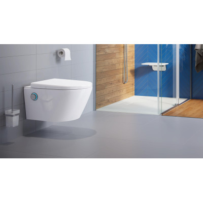 EXCELLENT RIKO SZCZOTKA WC WISZĄCA SZKLANA, CHROM DOEX.1605CR